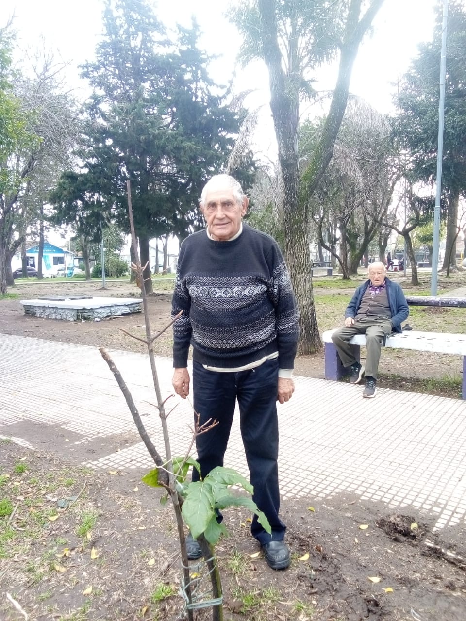Continúa la iniciativa de forestación en el Día del Árbol
